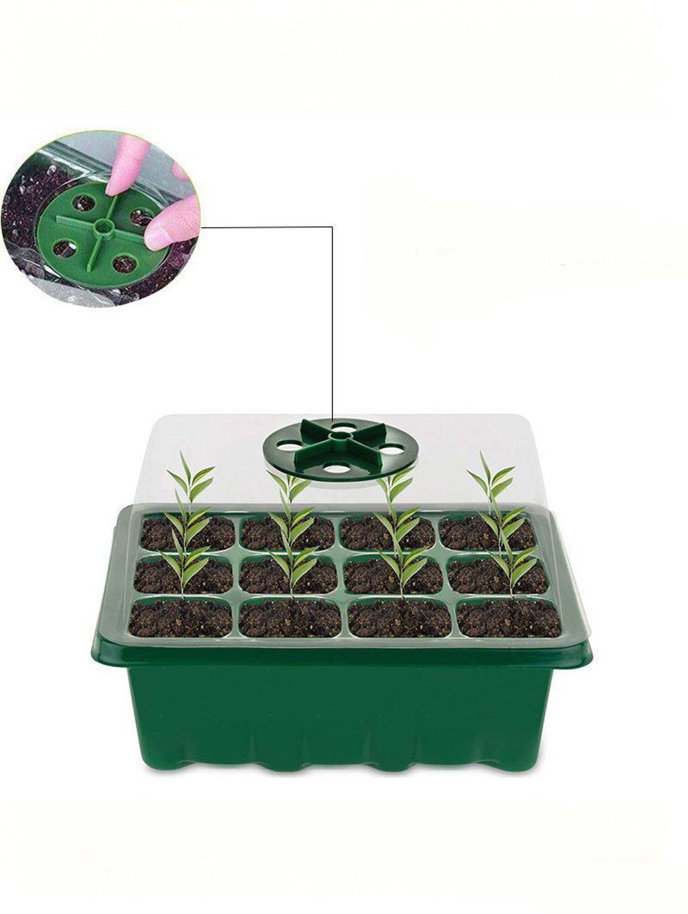 Seed Starter Tray - Bandeja para plántulas de 6/12 orificios,