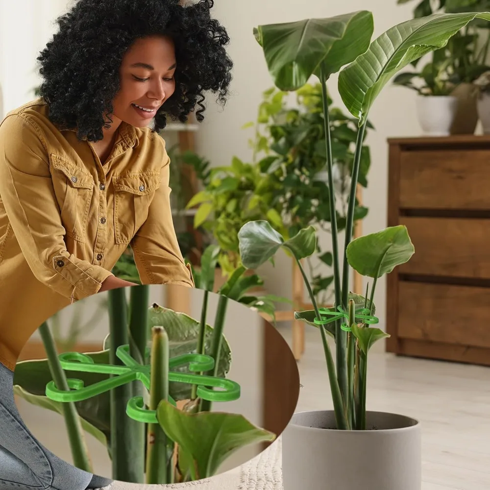 Estacas de soporte para tallo  - Indoor Herb Garden reseña y precio