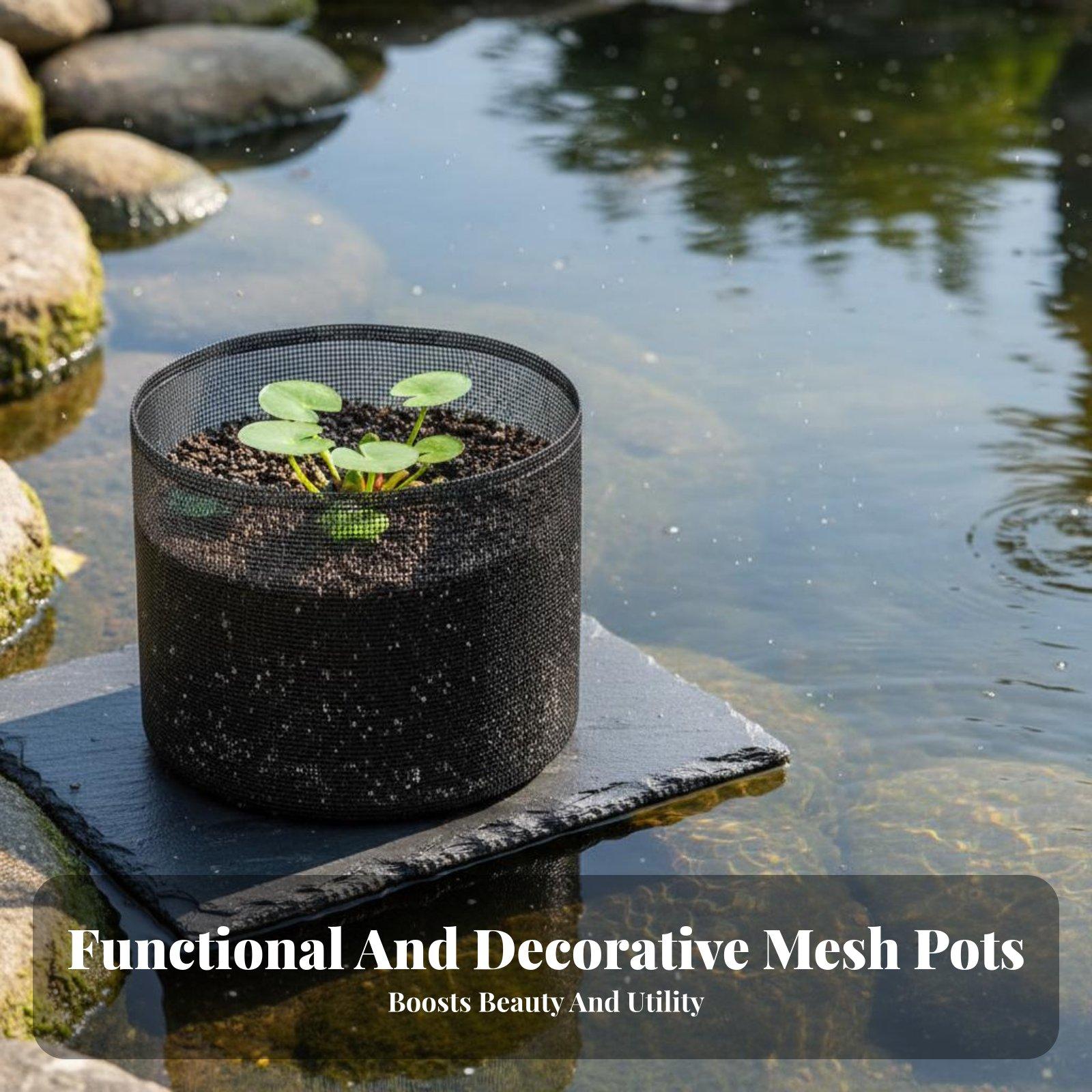 Macetas de 4 piezas para plant - Plant Pot reseña y precio