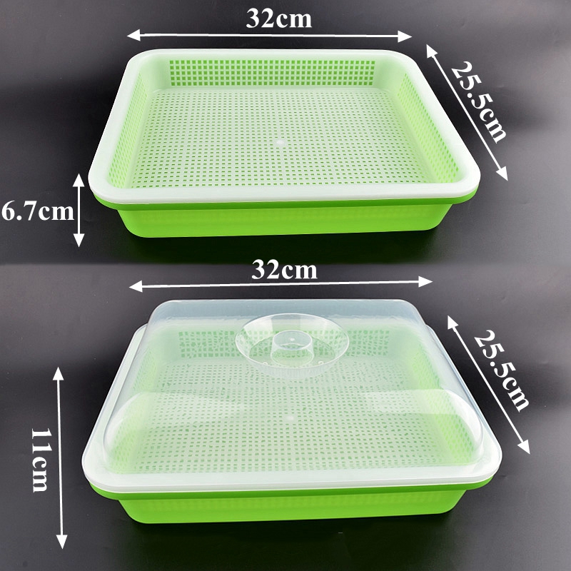Bandeja de germinación de plan - Hydroponic Kit reseña y precio