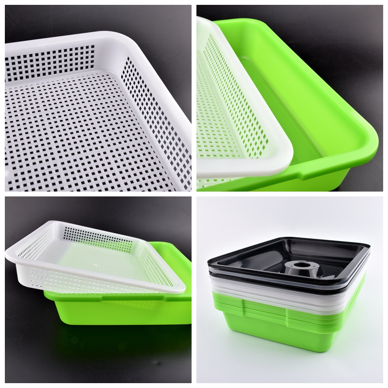Bandeja de germinación de plan - Hydroponic Kit reseña y precio