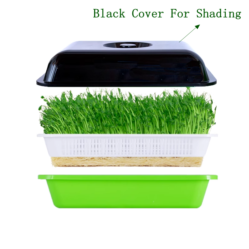 Bandeja de germinación de plan - Hydroponic Kit reseña y precio