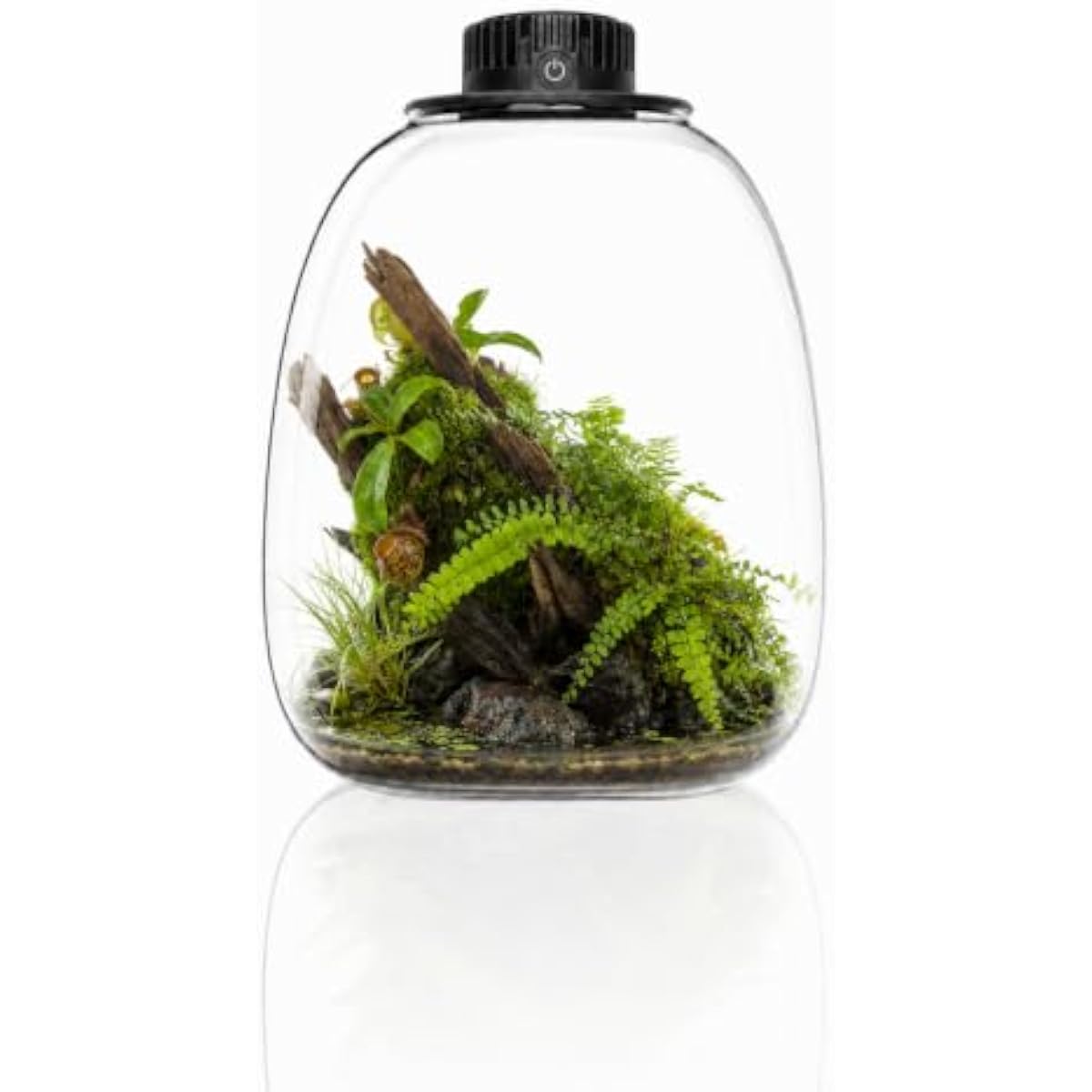 Terrario Redondo Bio Bottle co - Grow Light Led reseña y precio