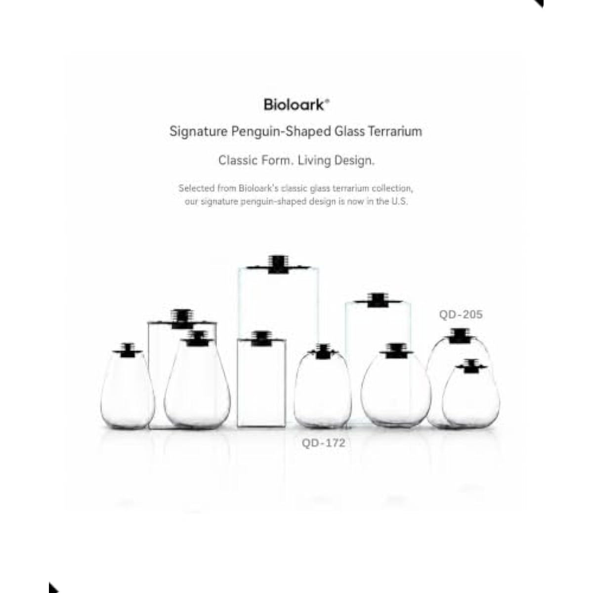 Terrario Redondo Bio Bottle co - Grow Light Led reseña y precio