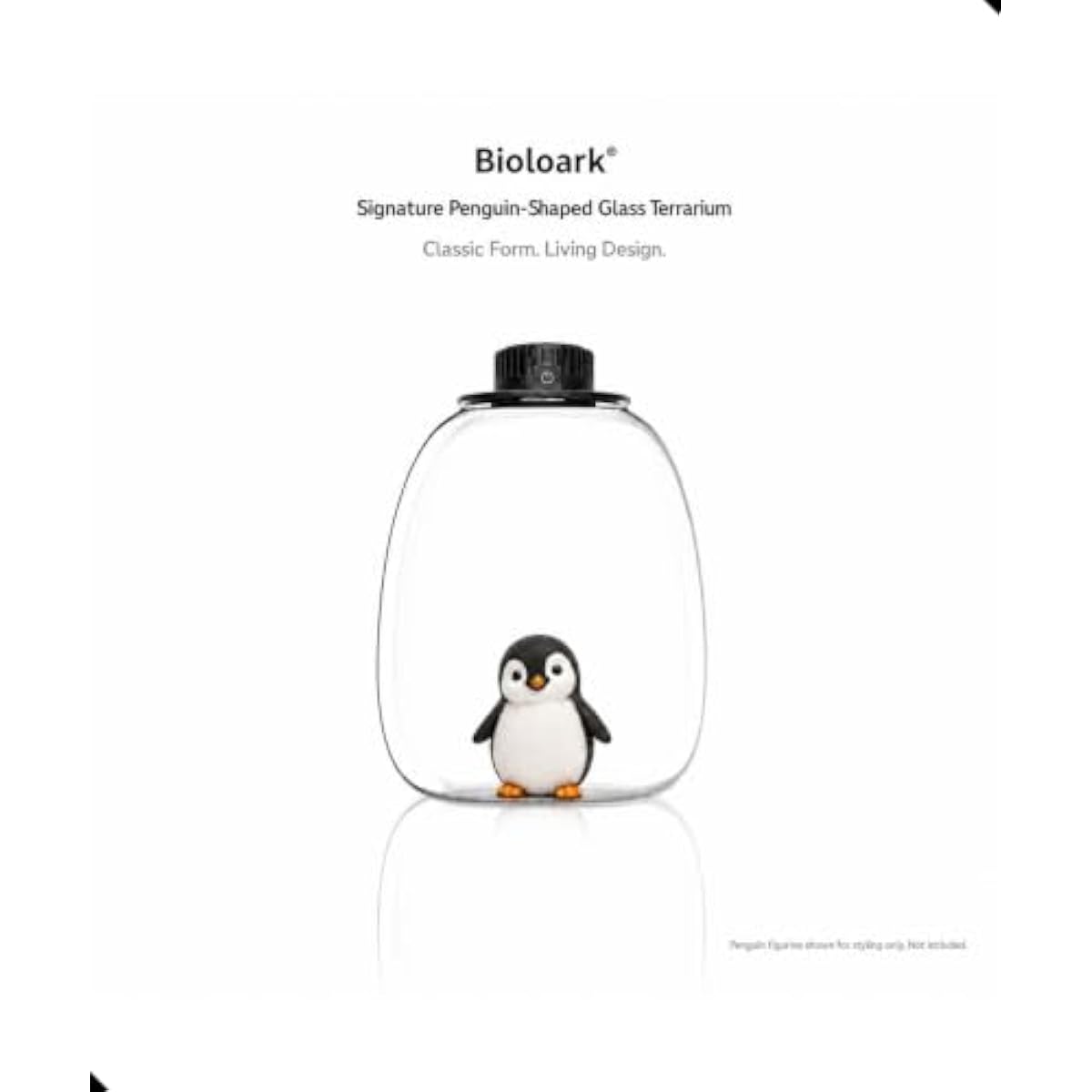 Terrario Redondo Bio Bottle co - Grow Light Led reseña y precio