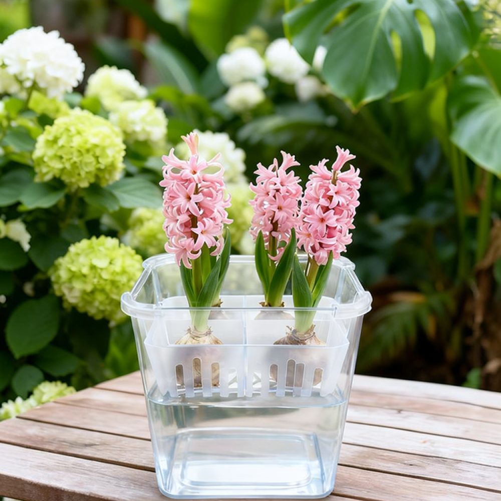 Jarrón hidropónico para tulipa - Plant Pot reseña y precio