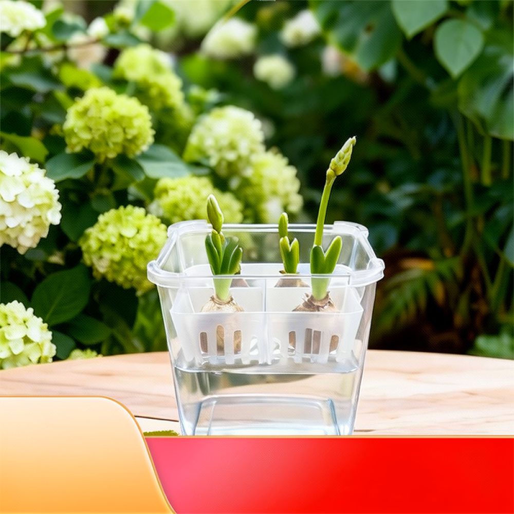 Jarrón hidropónico para tulipa - Plant Pot reseña y precio
