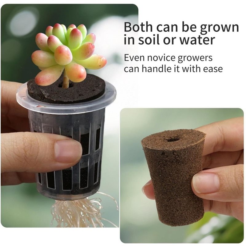 [ABFI!] Kit de sistema de cult - Hydroponic Kit reseña y precio