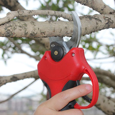 Tijeras de Podar Eléctricas In - Pruning Shears reseña y precio