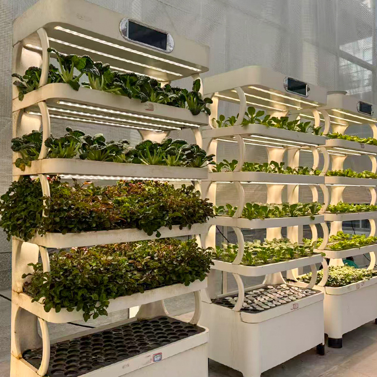 Maceta inteligente para jardín - Grow Light Led reseña y precio