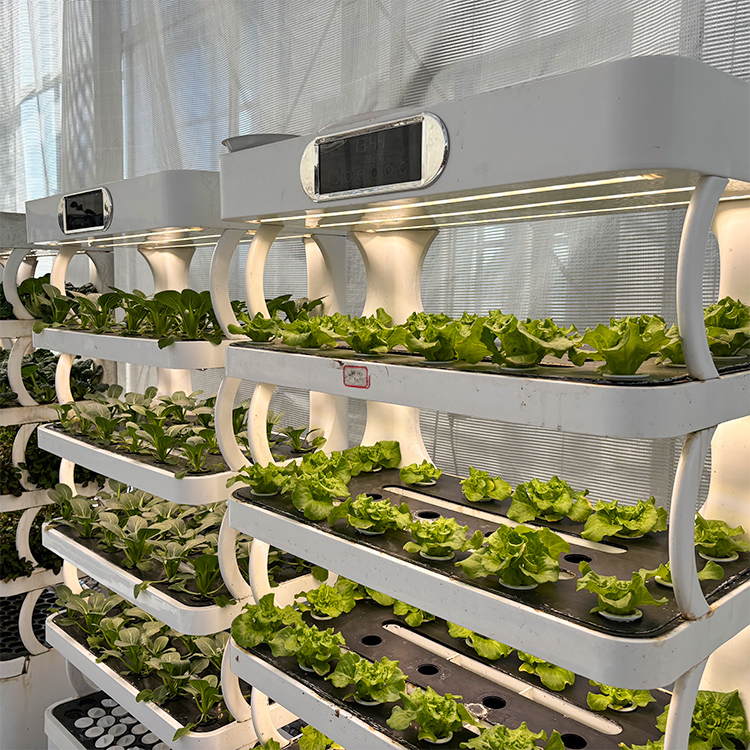 Maceta inteligente para jardín - Grow Light Led reseña y precio