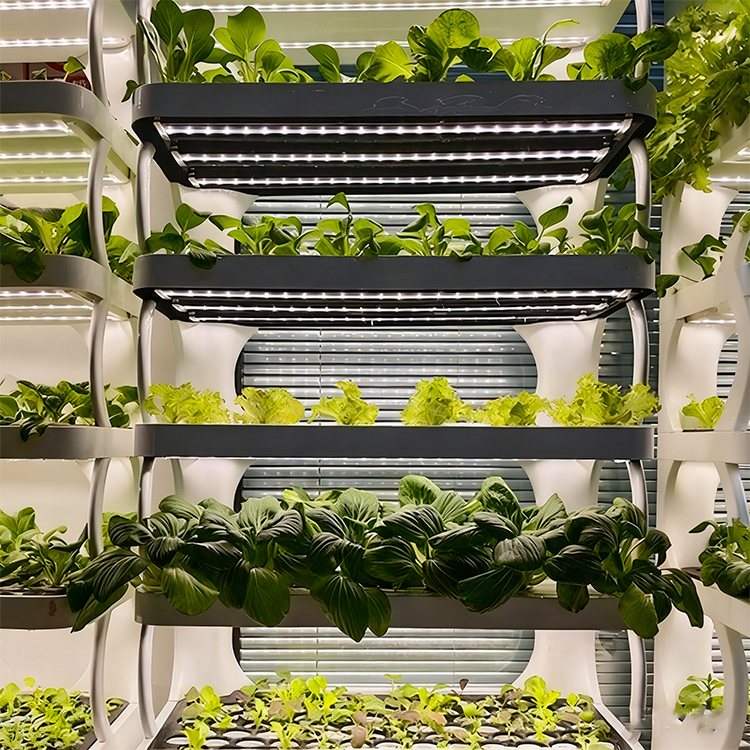 Maceta inteligente para jardín - Grow Light Led reseña y precio